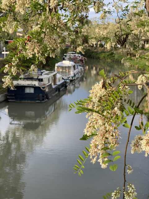 Afgemeerde aken op het Canal du Midi