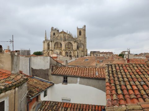 De kathedraal Saint-Just-et-Saint-Pasteur boven de daken van Narbonne